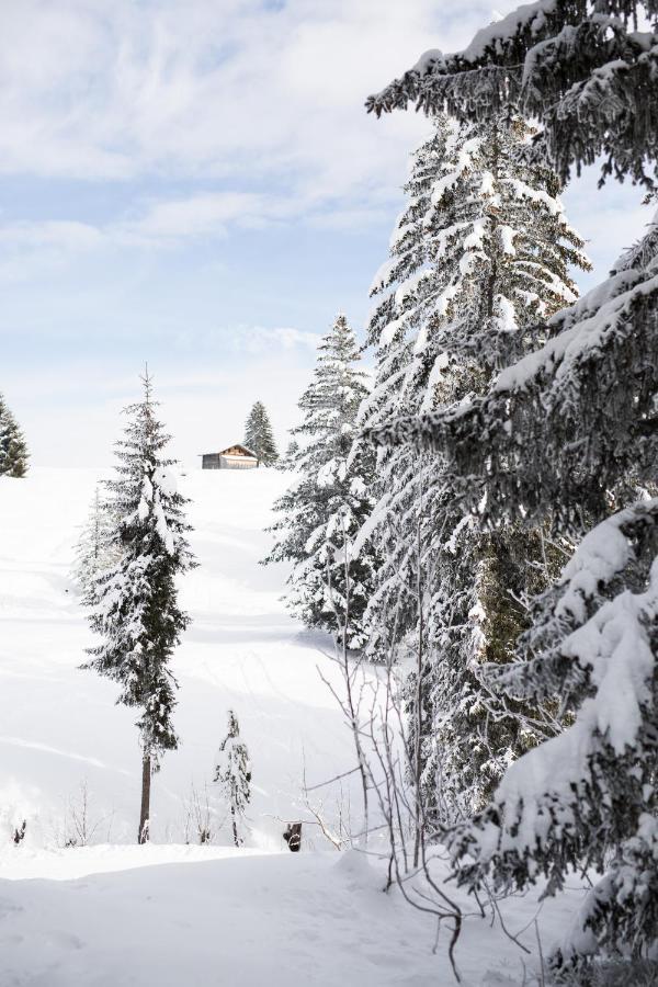 La Ferme Des Lombardes By Casalero * Saint-Jean-de-Sixt