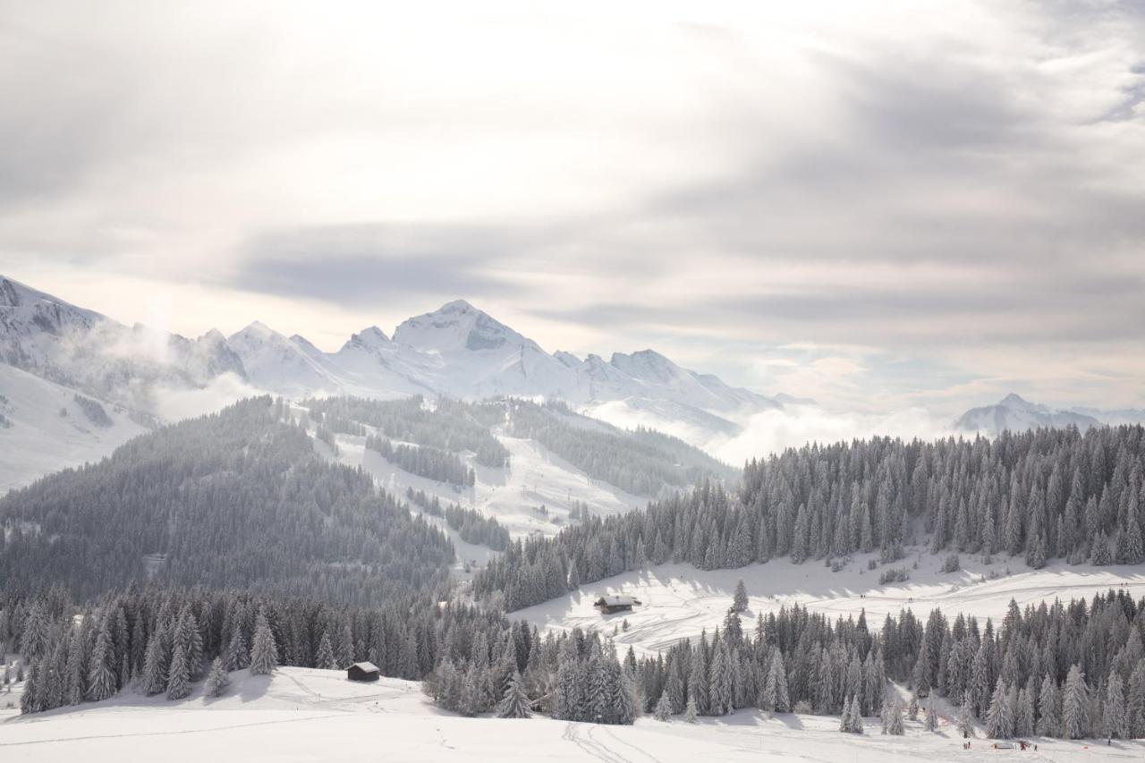 Chalet La Ferme Des Lombardes *